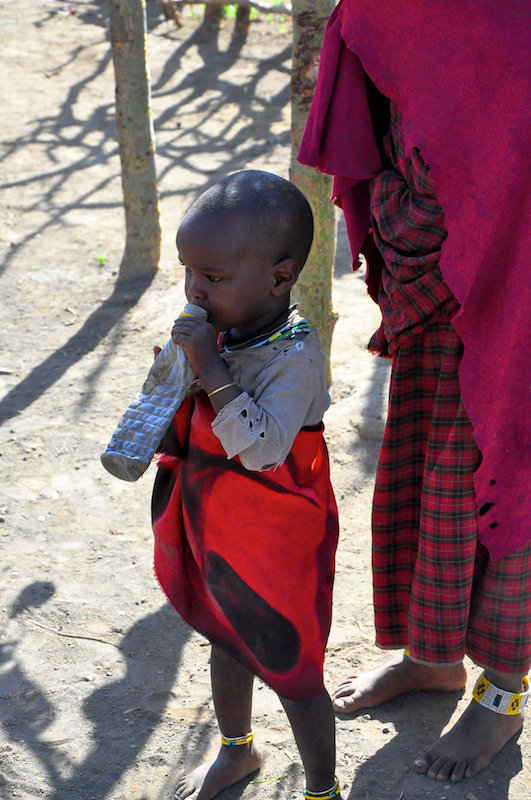 Ngorongoro Crater - Serengeti National Park